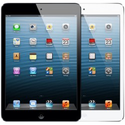 iPad mini (4)
